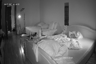 Alvis Oda sex in Bedroom Apr 25 cam2 picture