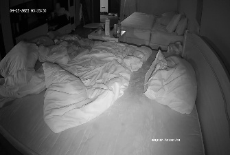 Alvis Oda sex in Bedroom Apr 25