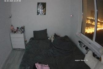 Pure Kitty and Adams sex 02-06-2024 cam2