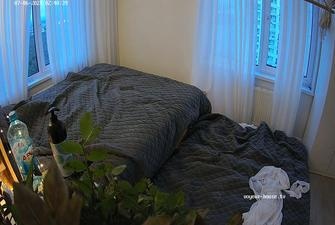 Sylva,Carlson and friends hot orgy,July 6,2024 cam4