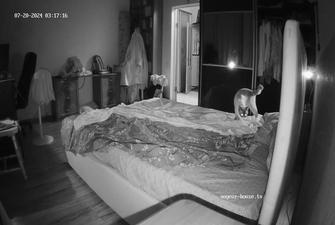 Exclusive, Shelia Henry Bedroom sex 2024-07-20 cam2