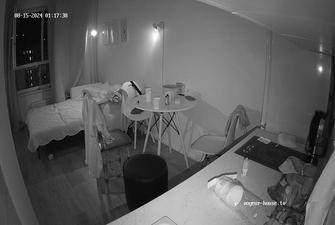 Fennec friends foursome and have fun in livingroom-kitchen, 15 08 2024