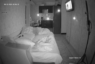 Persephone and Mr Art sex late Living room 2024-08-31