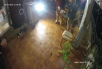 Ally and Dan friends loggia sex while chatting with Ally and Dan, 13 09 2024 cam 2