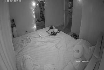 Guests sex, 11 11 2024 pt2