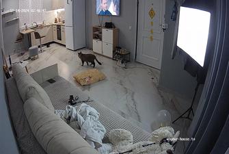 Rosy kitchen sex, 14-12-2024