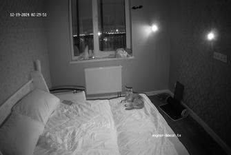 Mikl sex, 19-12-2024