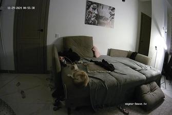 Pussy cam show and guests sex, 29-11-2024 cam2