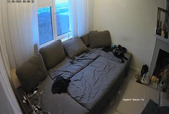 Sylva Carlson and friends Hot sex party 2024-11-30 cam2