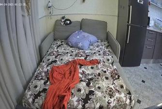 Bastet and Sonic rd1 sex livingroom 2025-04-24 cam 2