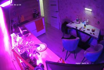 Shana 3-some starts in kitchen 2025-04-25