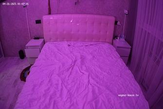 Sonic and Bastet bedroom sex 2025-04-26 cam 2