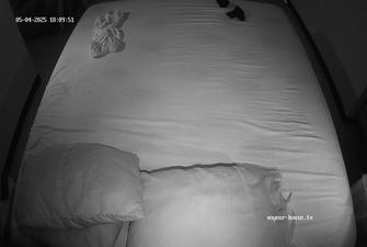 Libra Eldora Lesbian Fun and 3some with Papi 1 2025-05-04 cam 2