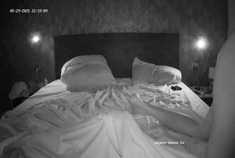 Mira Henry Bedroom Sex 2025-05-29