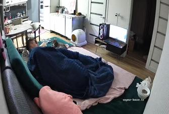 Swera Jaxon Handjob 2025-06-13 cam 5
