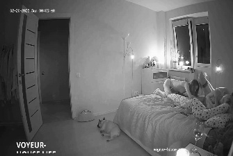 VIDEOS - Search Results For Feb